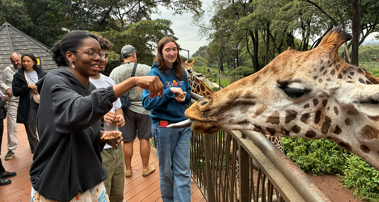 Wesleyan student interacting with giraffe in Kenya